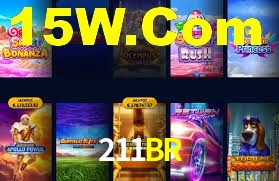 211BR App Interface