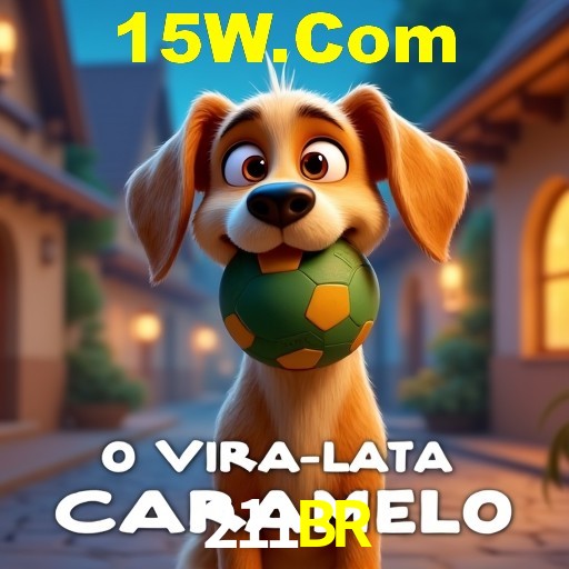 cassino 211BR