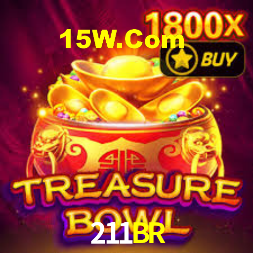 211br.com